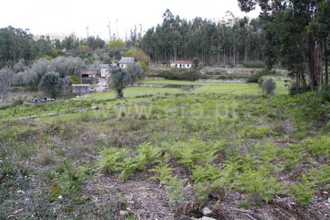 Helårsgrund i Barcelos, Braga, Barcelos - € 33.000 | Ref: 254260390 - foto 7