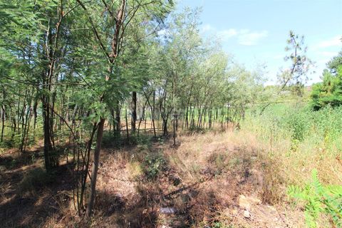 Helårsgrund i Barcelos, Braga, Barcelos - € 150.000 | Ref: 254260312 - foto 2