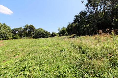Helårsgrund i Barcelos, Braga, Barcelos - € 150.000 | Ref: 254260312 - foto 3