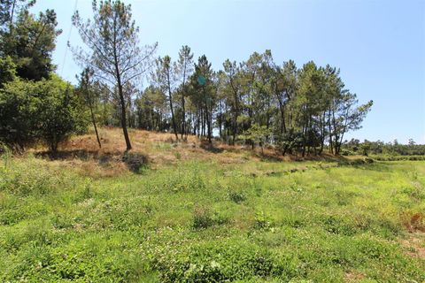 Helårsgrund i Barcelos, Braga, Barcelos - € 150.000 | Ref: 254260312 - foto 4