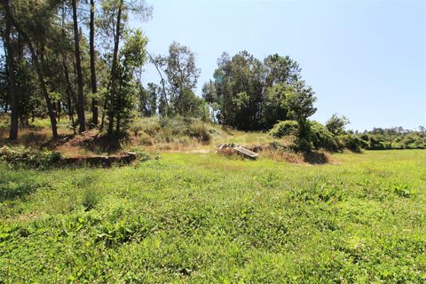 Helårsgrund i Barcelos, Braga, Barcelos - € 150.000 | Ref: 254260312 - foto 5