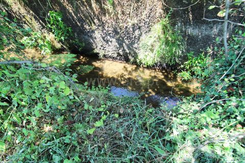 Helårsgrund i Barcelos, Braga, Barcelos - € 150.000 | Ref: 254260312 - foto 6