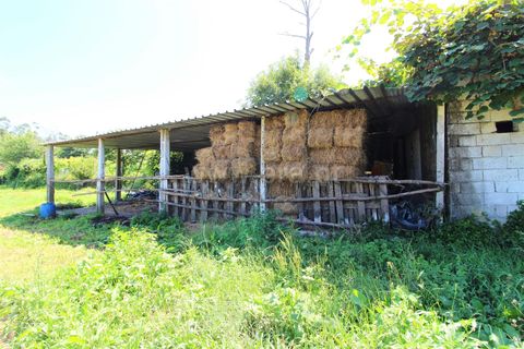 Helårsgrund i Barcelos, Braga, Barcelos - € 150.000 | Ref: 254260312 - foto 7