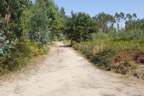 Helårsgrund i Barcelos, Braga, Barcelos - € 52.500 | Ref: 254260578 - foto 2