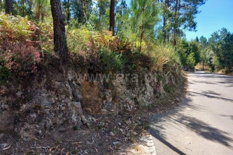 Helårsgrund i Barcelos, Braga, Barcelos - € 25.000 | Ref: 254260458 - foto 3