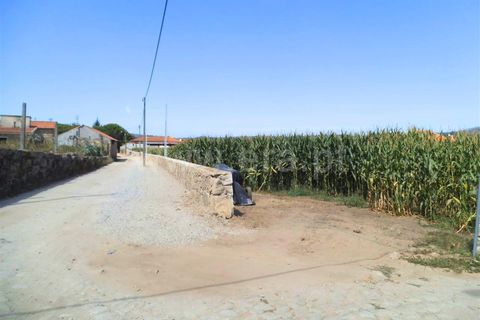 Helårsgrund i Barcelos, Braga, Barcelos - € 280.000 | Ref: 254260235 - foto 2