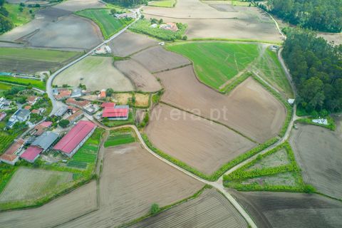 Helårsgrund i Barcelos, Braga, Barcelos - € 165.000 | Ref: 254260624 - foto 6
