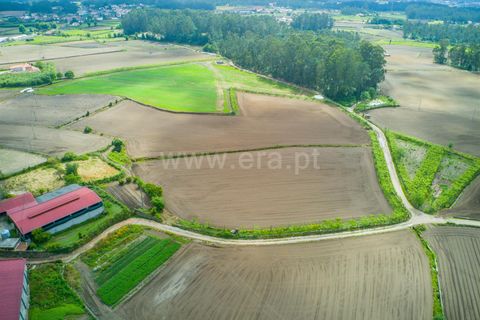 Helårsgrund i Barcelos, Braga, Barcelos - € 165.000 | Ref: 254260624 - foto 7