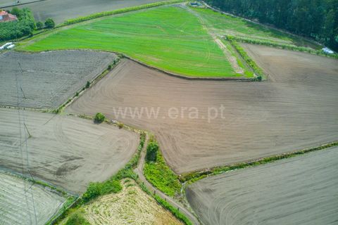 Helårsgrund i Barcelos, Braga, Barcelos - € 165.000 | Ref: 254260624 - foto 10