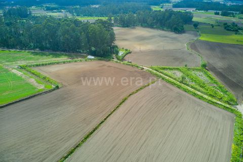 Helårsgrund i Barcelos, Braga, Barcelos - € 165.000 | Ref: 254260624 - foto 11