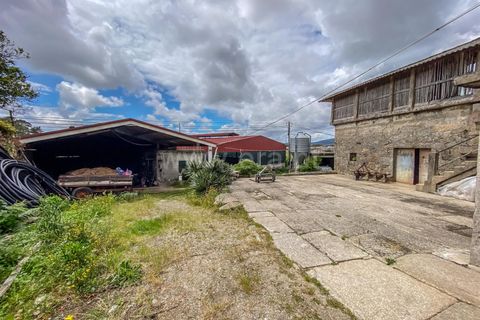 Erhvervsejendom i Barcelos, Braga, Barcelos - € 275.000 | Ref: 254260611 - foto 5
