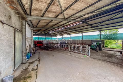 Erhvervsejendom i Barcelos, Braga, Barcelos - € 275.000 | Ref: 254260611 - foto 8