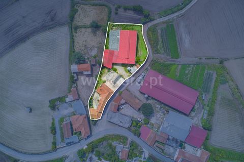 Erhvervsejendom i Barcelos, Braga, Barcelos - € 275.000 | Ref: 254260611 - foto 26
