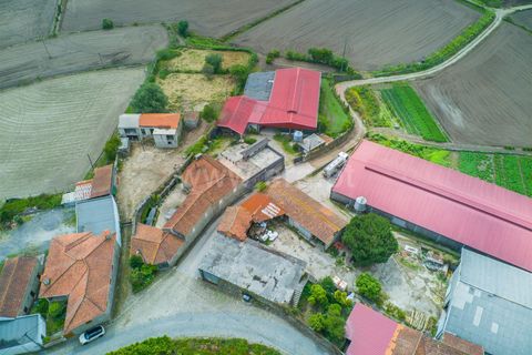 Erhvervsejendom i Barcelos, Braga, Barcelos - € 275.000 | Ref: 254260611 - foto 27