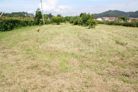 Helårsgrund i Barcelos, Braga, Barcelos - € 145.000 | Ref: 254260243 - foto 3