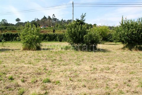 Helårsgrund i Barcelos, Braga, Barcelos - € 145.000 | Ref: 254260243 - foto 5