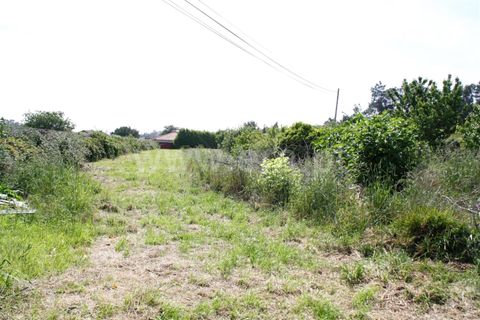 Helårsgrund i Barcelos, Braga, Barcelos - € 145.000 | Ref: 254260243 - foto 6