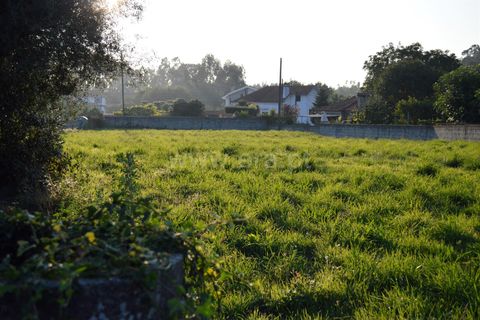 Helårsgrund i Barcelos, Braga, Barcelos - € 215.000 | Ref: 254260247 - foto 5