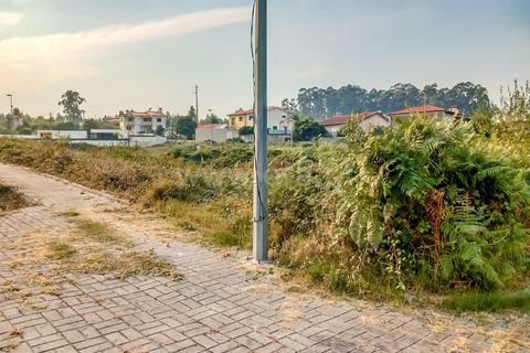 Helårsgrund i Barcelos, Braga, Barcelos - € 790.000 | Ref: 254260459 - foto 5