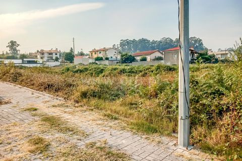 Helårsgrund i Barcelos, Braga, Barcelos - € 790.000 | Ref: 254260459 - foto 7
