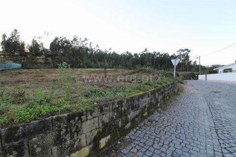 Helårsgrund i Barcelos, Braga, Barcelos - € 710.000 | Ref: 254260324 - foto 3