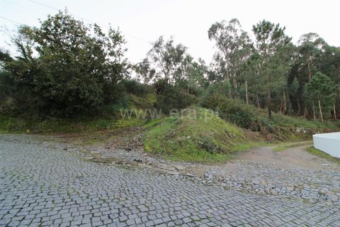 Helårsgrund i Barcelos, Braga, Barcelos - € 710.000 | Ref: 254260324 - foto 6