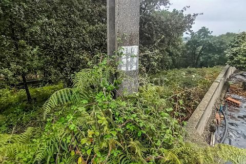 Helårsgrund i Barcelos, Braga, Barcelos - € 130.000 | Ref: 254260334 - foto 5