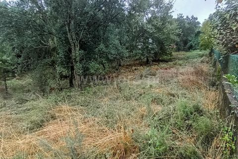 Helårsgrund i Barcelos, Braga, Barcelos - € 130.000 | Ref: 254260334 - foto 7