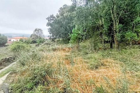 Helårsgrund i Barcelos, Braga, Barcelos - € 130.000 | Ref: 254260334 - foto 8