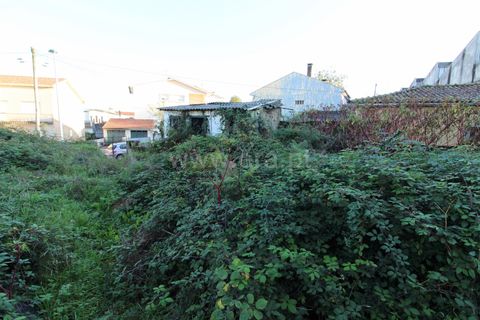 Helårsgrund i Barcelos, Braga, Barcelos - € 60.000 | Ref: 254260333 - foto 4