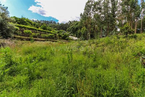 Helårsgrund i Barcelos, Braga, Barcelos - € 90.000 | Ref: 254260346 - foto 3