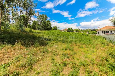 Helårsgrund i Barcelos, Braga, Barcelos - € 90.000 | Ref: 254260346 - foto 10