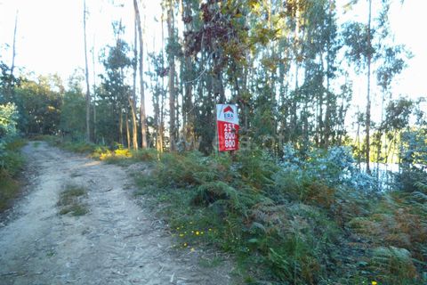 Helårsgrund i Barcelos, Braga, Barcelos - € 10.500 | Ref: 254260251 - foto 5