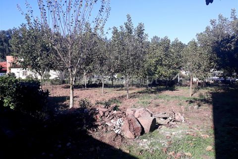 Helårsgrund i Barcelos, Braga, Barcelos - € 67.000 | Ref: 254260395 - foto 2