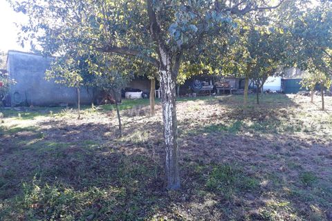 Helårsgrund i Barcelos, Braga, Barcelos - € 67.000 | Ref: 254260395 - foto 4