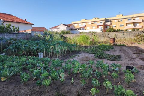 Villa a Esposende, Braga, Esposende - € 750.000 | Ref: 254260509 - foto 10