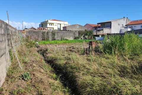 Villa a Esposende, Braga, Esposende - € 750.000 | Ref: 254260509 - foto 13