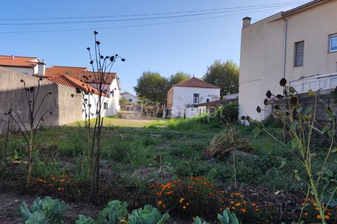 Villa a Esposende, Braga, Esposende - € 750.000 | Ref: 254260509 - foto 14