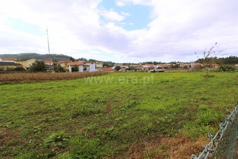 Helårsgrund i Barcelos, Braga, Barcelos - € 40.000 | Ref: 254260313 - foto 2