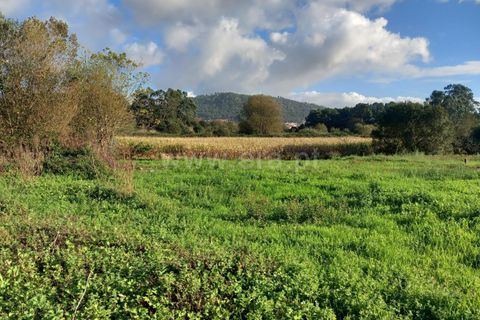 Helårsgrund i Esposende, Braga, Esposende - € 37.000 | Ref: 254260465 - foto 3