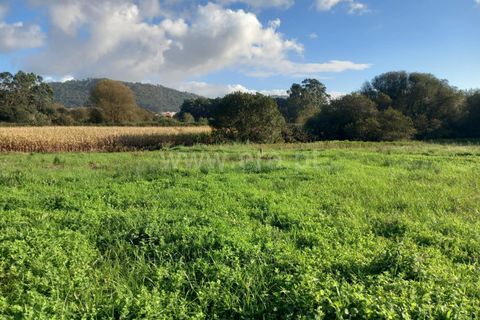 Helårsgrund i Esposende, Braga, Esposende - € 37.000 | Ref: 254260465 - foto 5