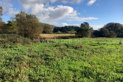 Helårsgrund i Esposende, Braga, Esposende - € 37.000 | Ref: 254260465 - foto 7