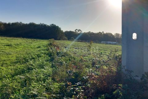 Helårsgrund i Esposende, Braga, Esposende - € 37.000 | Ref: 254260465 - foto 8