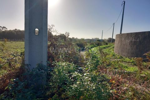 Helårsgrund i Esposende, Braga, Esposende - € 37.000 | Ref: 254260465 - foto 9