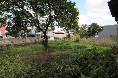 Erhvervsejendom i Barcelos, Braga, Barcelos - € 500.000 | Ref: 254260405 - foto 3