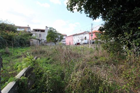 Erhvervsejendom i Barcelos, Braga, Barcelos - € 500.000 | Ref: 254260405 - foto 5