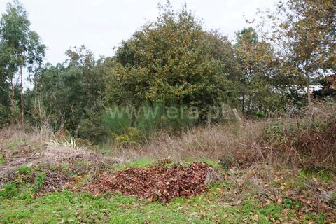 Helårsgrund i Barcelos, Braga, Barcelos - € 50.000 | Ref: 254260406 - foto 3