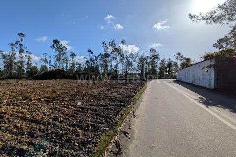 Erhvervsejendom i Barcelos, Braga, Barcelos - € 300.000 | Ref: 254260486 - foto 8