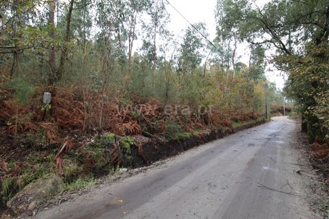 Helårsgrund i Barcelos, Braga, Barcelos - € 28.500 | Ref: 254260580 - foto 3