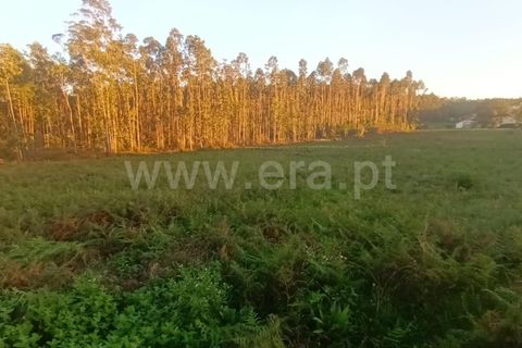 Helårsgrund i Barcelos, Braga, Barcelos - € 135.000 | Ref: 254260335 - foto 3